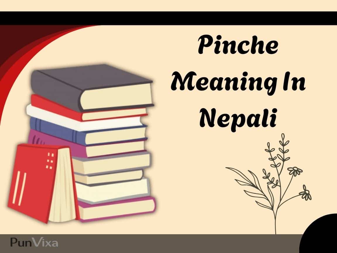 Pinche Meaning In Nepali Complete, Clear, And Culturally Aware Explanation